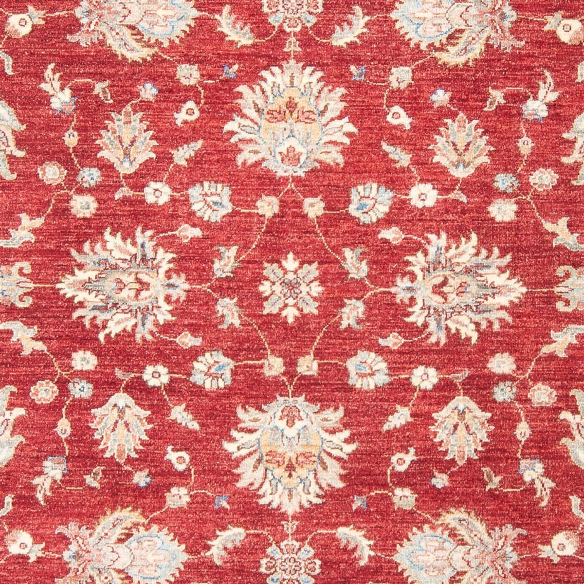 Tappeto Ziegler - 243 x 178 cm - rosso
