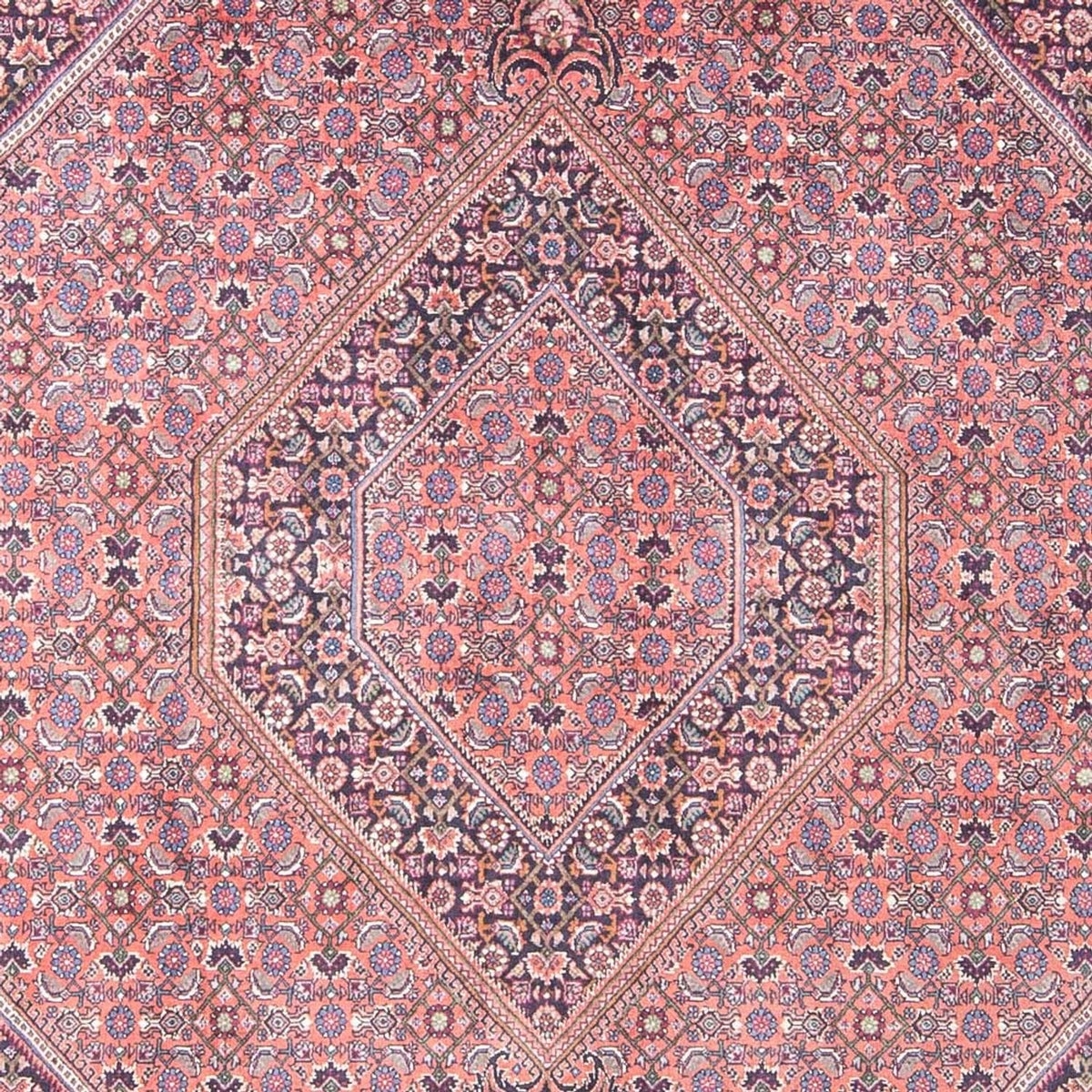 Tappeto Persero - Bidjar - 240 x 145 cm - rosso chiaro