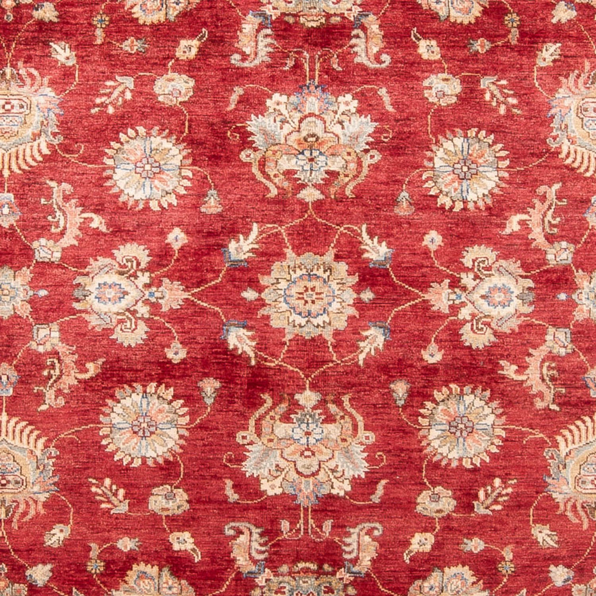 Tappeto Ziegler - 298 x 209 cm - rosso