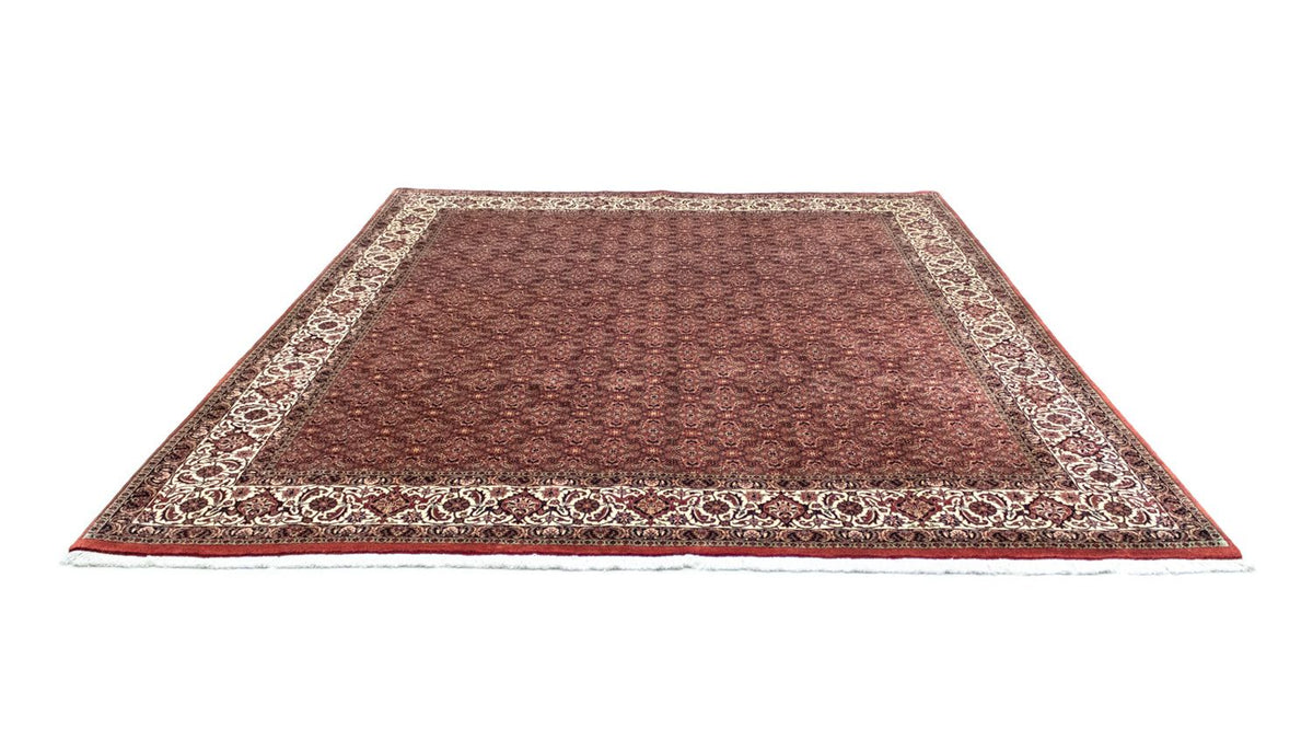 Tappeto Persero - Bidjar - 301 x 256 cm - marrone
