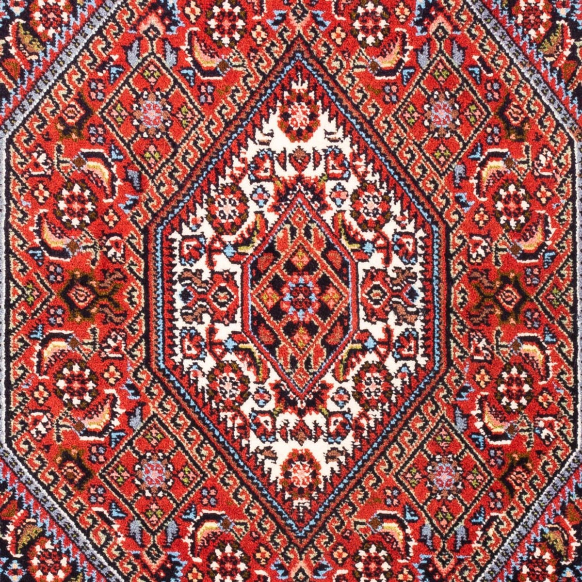 Tappeto Persero - Bidjar - 105 x 70 cm - rosso