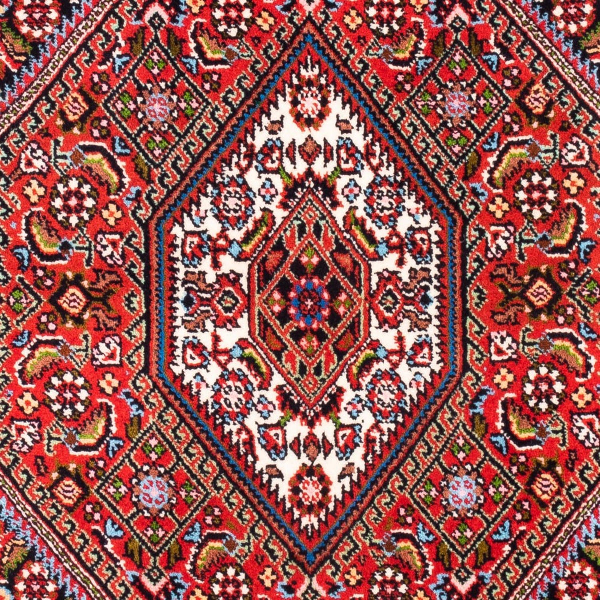 Tappeto Persero - Bidjar - 104 x 72 cm - rosso