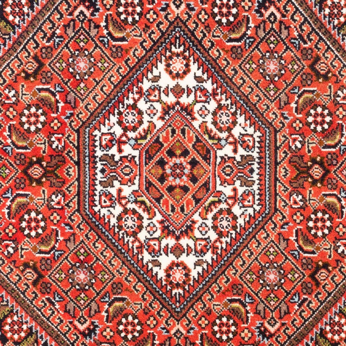 Tappeto Persero - Bidjar - 102 x 71 cm - rosso