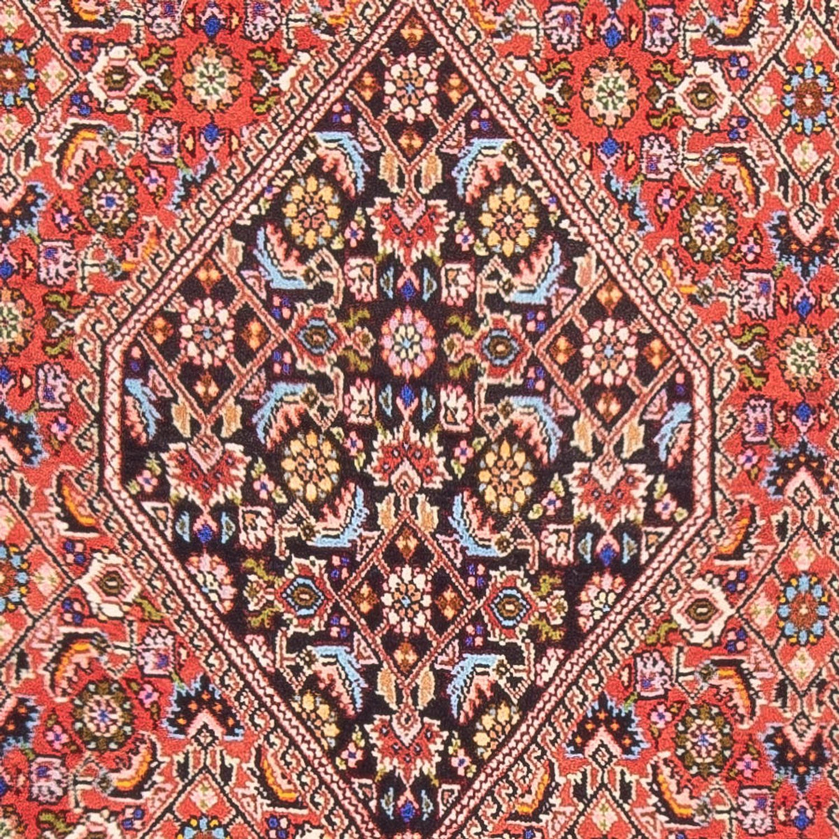 Tappeto Persero - Bidjar - 165 x 84 cm - rosso
