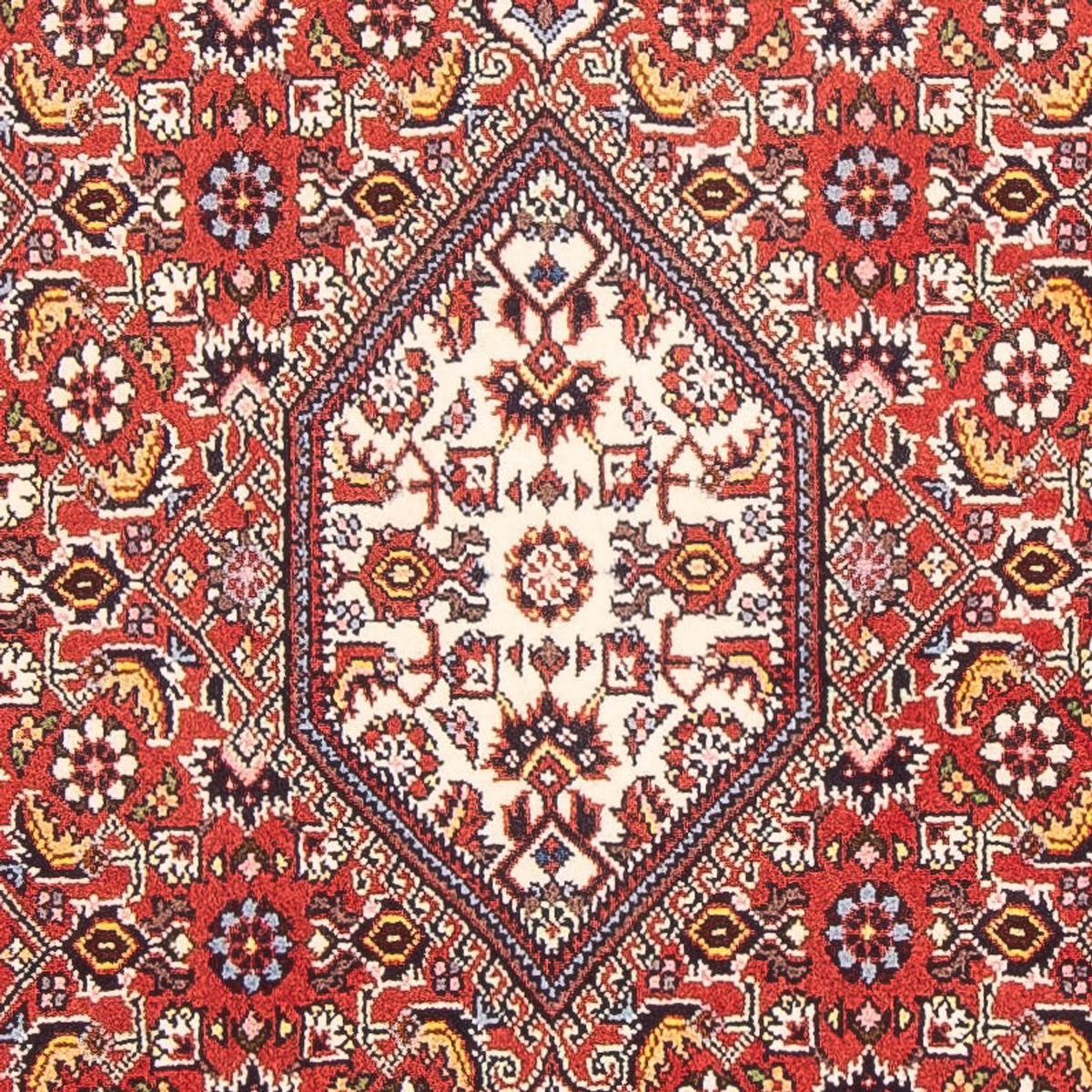 Tappeto Persero - Bidjar - 150 x 84 cm - rosso