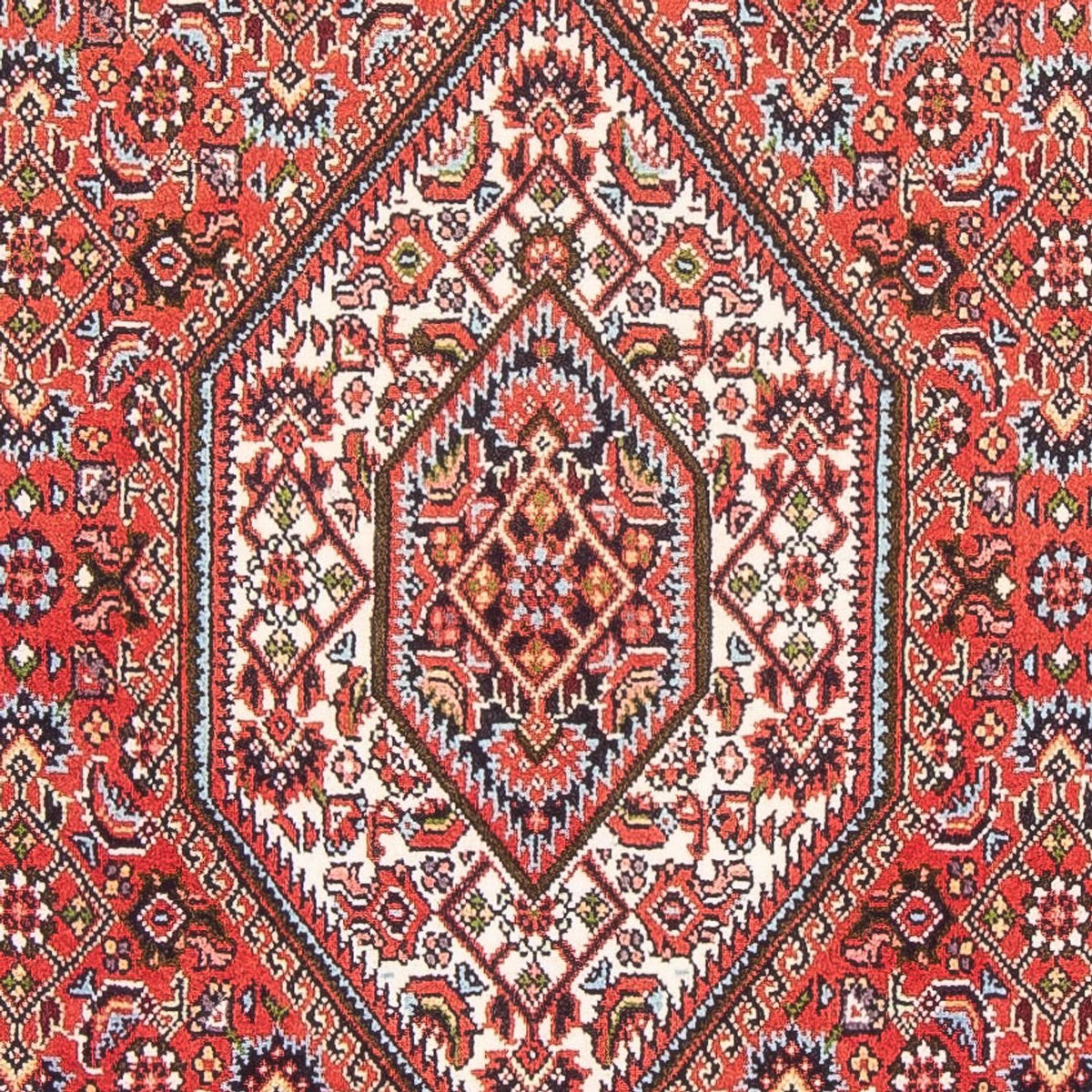 Tappeto Persero - Bidjar - 155 x 85 cm - rosso