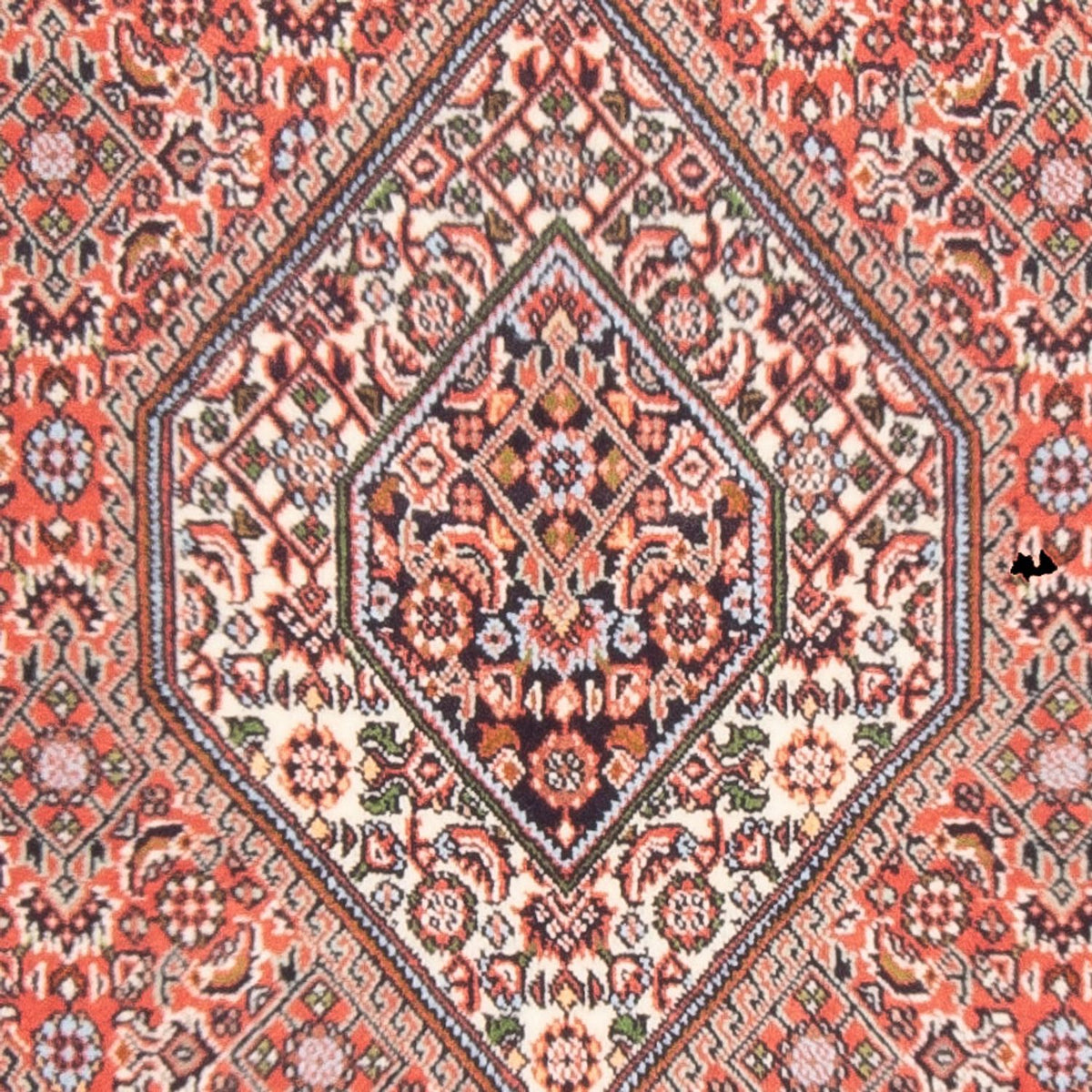Tappeto Persero - Bidjar - 140 x 87 cm - rosso