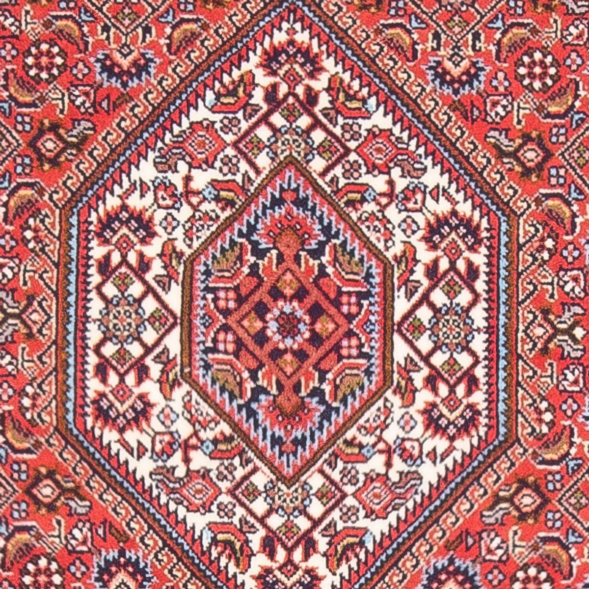 Tappeto Persero - Bidjar - 130 x 86 cm - rosso