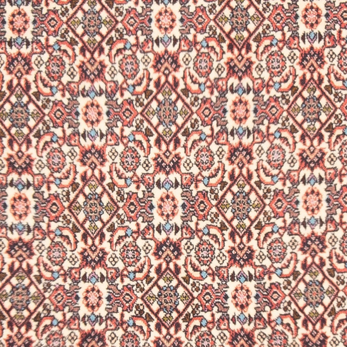 Tappeto Persero - Bidjar - 153 x 86 cm - beige