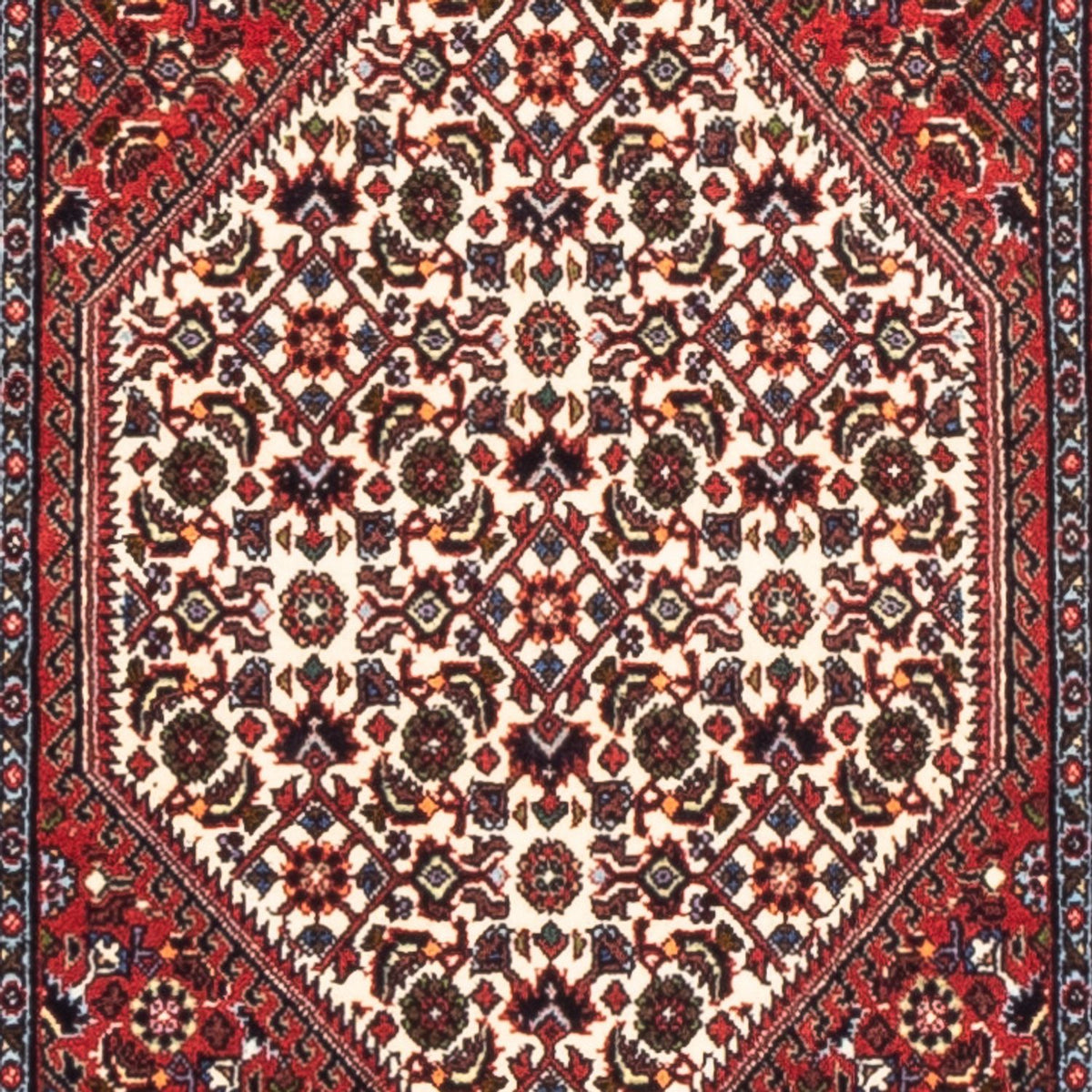 Tappeto corsia Tappeto Persero - Bidjar - 228 x 61 cm - rosso