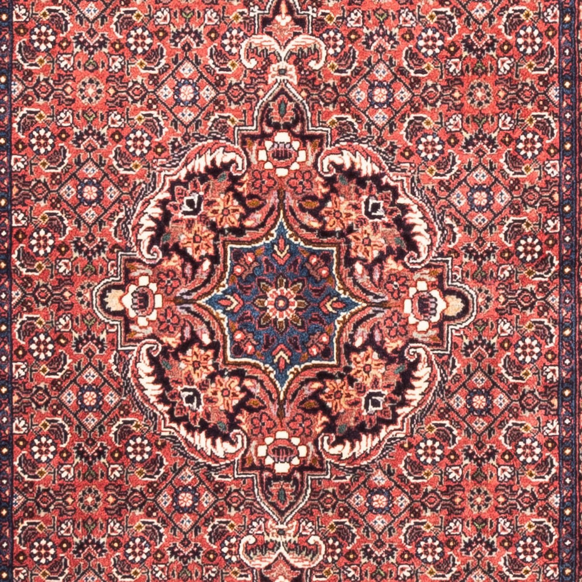 Tappeto corsia Tappeto Persero - Bidjar - 238 x 73 cm - rosso