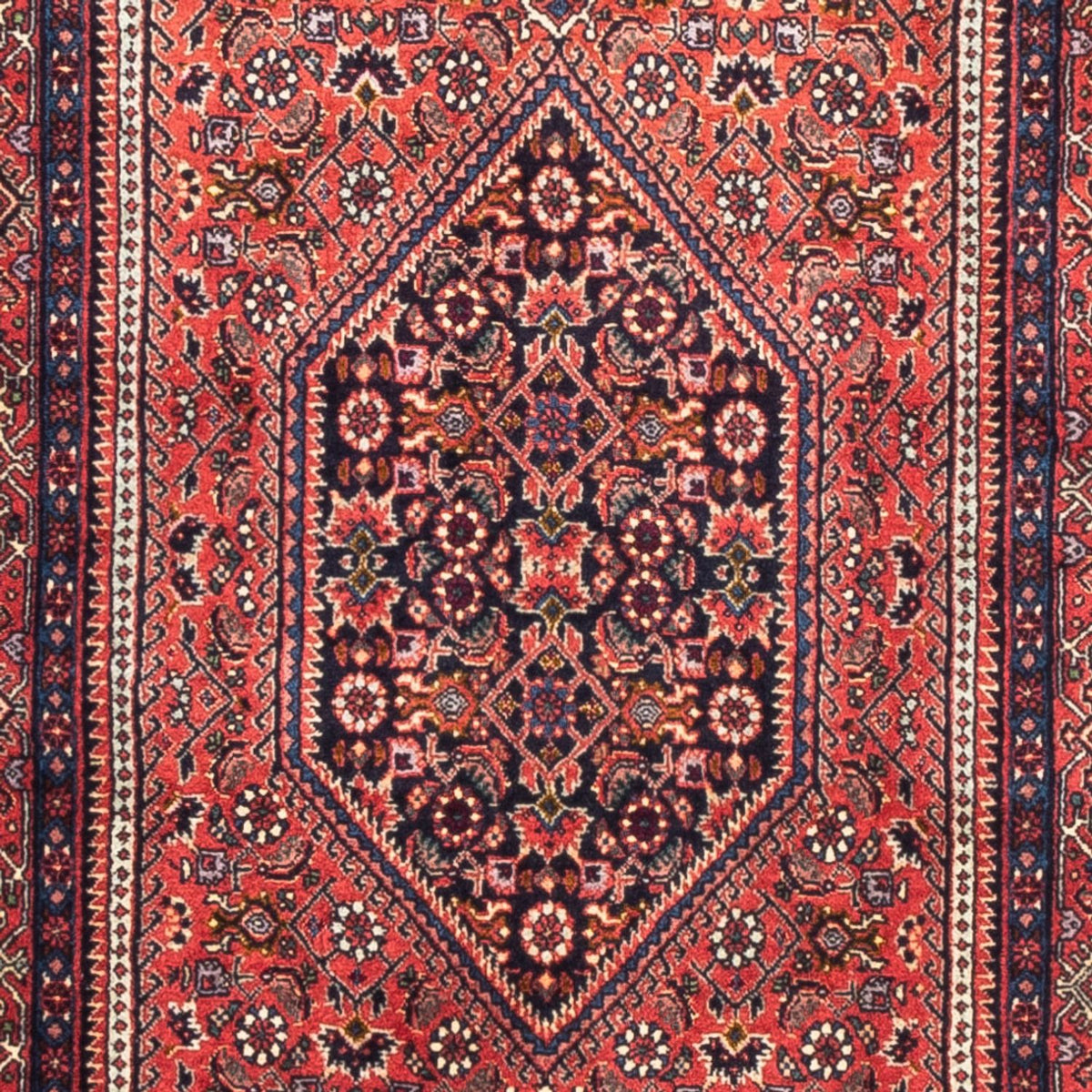 Tappeto corsia Tappeto Persero - Bidjar - 226 x 77 cm - rosso