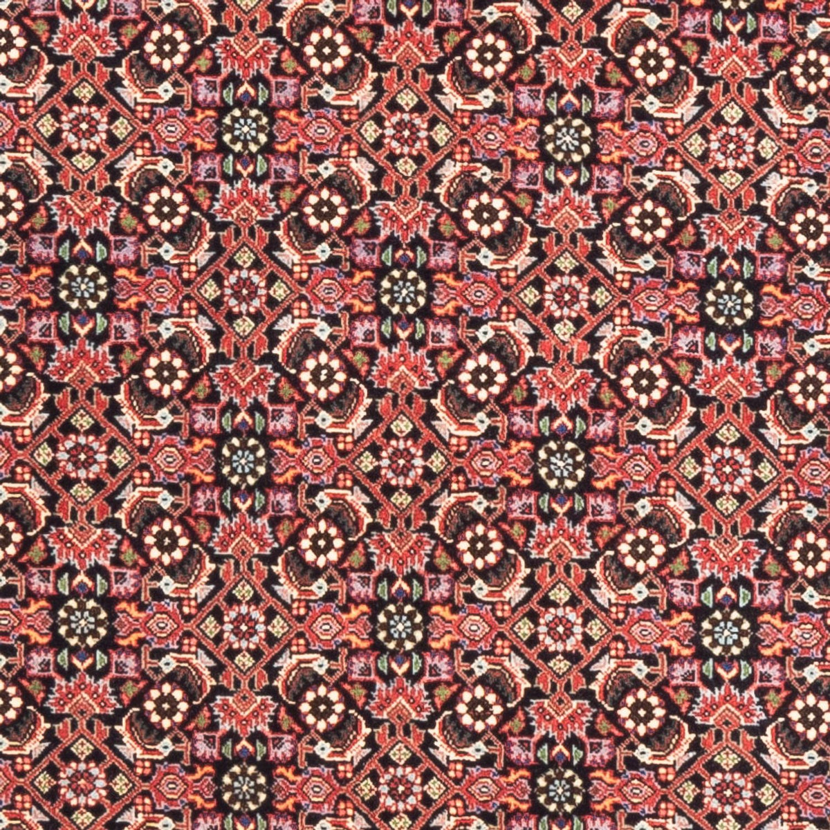 Tappeto corsia Tappeto Persero - Bidjar - 189 x 82 cm - rosso chiaro