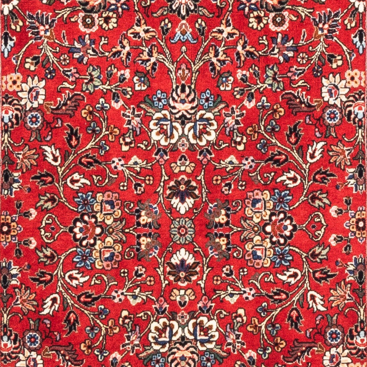 Tappeto corsia Tappeto Persero - Bidjar - 204 x 84 cm - rosso