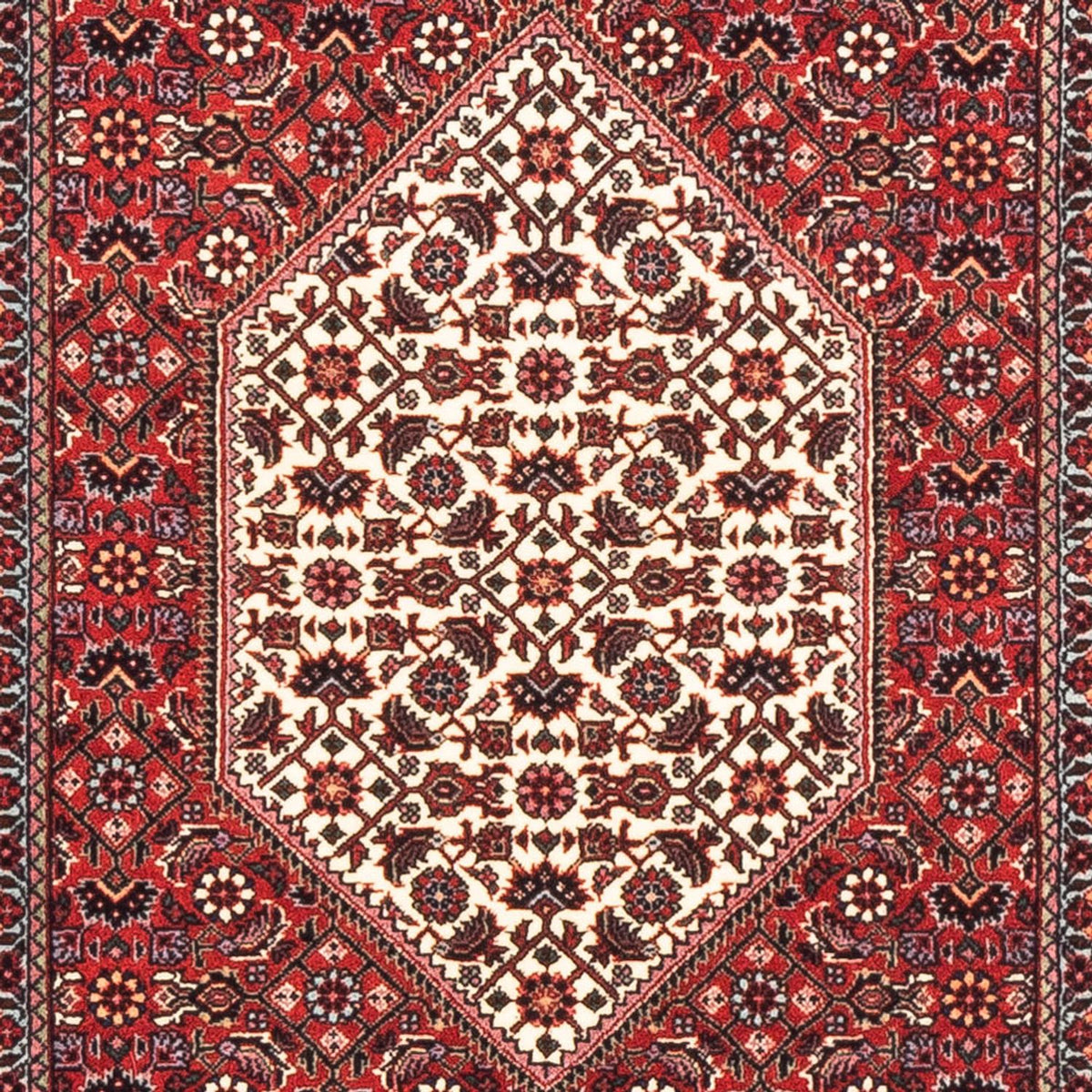 Tappeto corsia Tappeto Persero - Bidjar - 196 x 80 cm - rosso