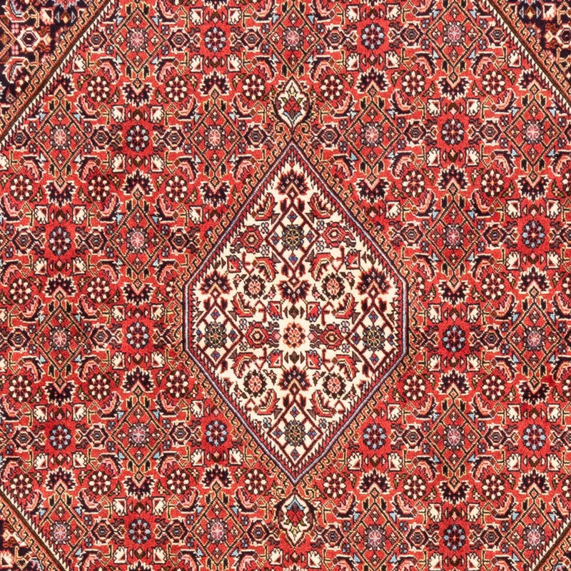 Tappeto Persero - Bidjar - 232 x 171 cm - rosso