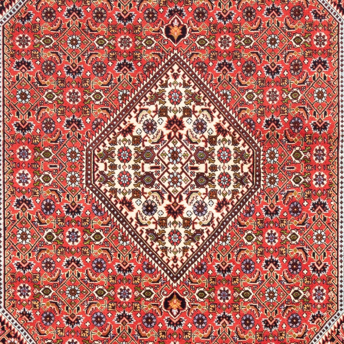 Tappeto Persero - Bidjar - 247 x 168 cm - rosso