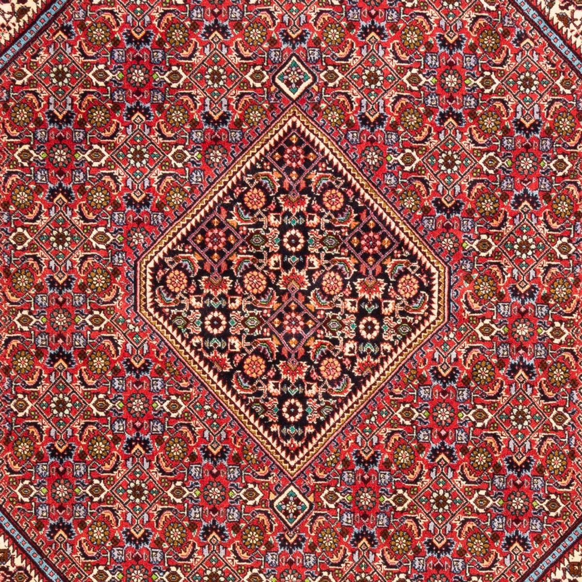 Tappeto Persero - Bidjar - 247 x 171 cm - rosso