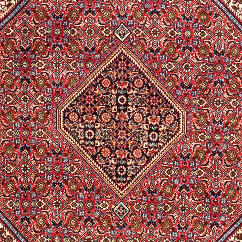 Tappeto Persero - Bidjar - 247 x 171 cm - rosso
