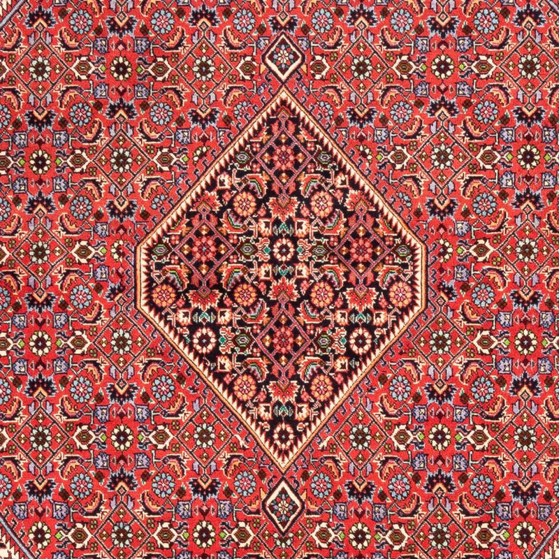 Tappeto Persero - Bidjar - 245 x 170 cm - rosso