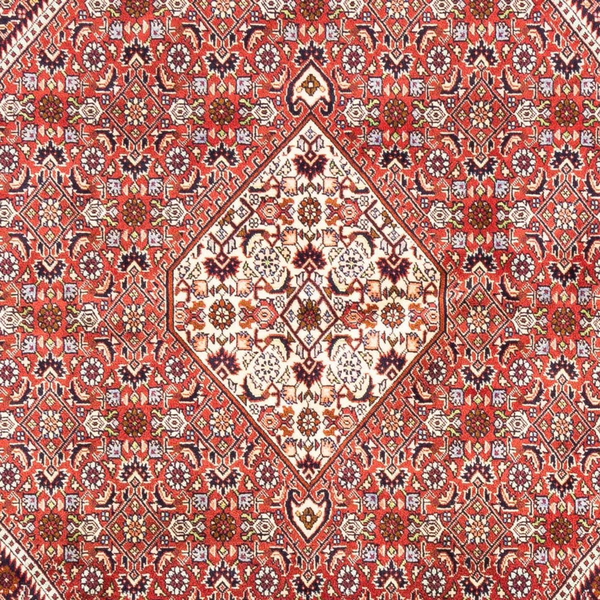Tappeto Persero - Bidjar - 240 x 168 cm - rosso