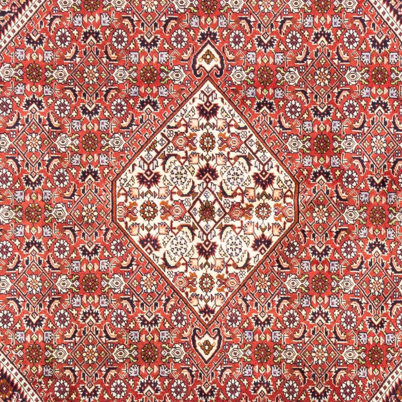 Tappeto Persero - Bidjar - 240 x 168 cm - rosso