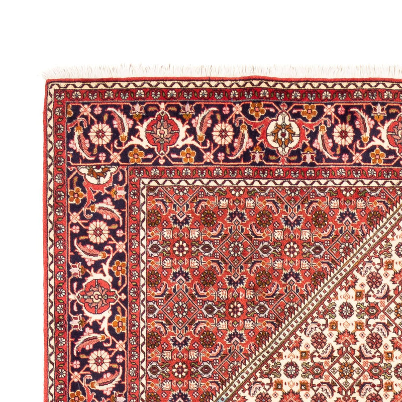 Tappeto Persero - Bidjar - 249 x 170 cm - beige