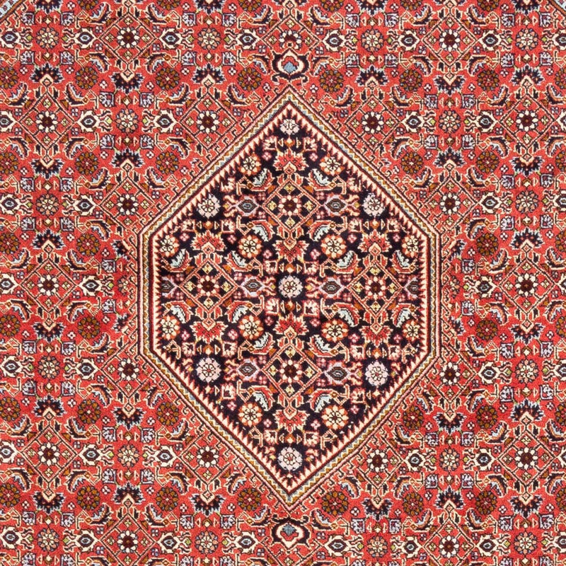 Tappeto Persero - Bidjar - 248 x 171 cm - rosso