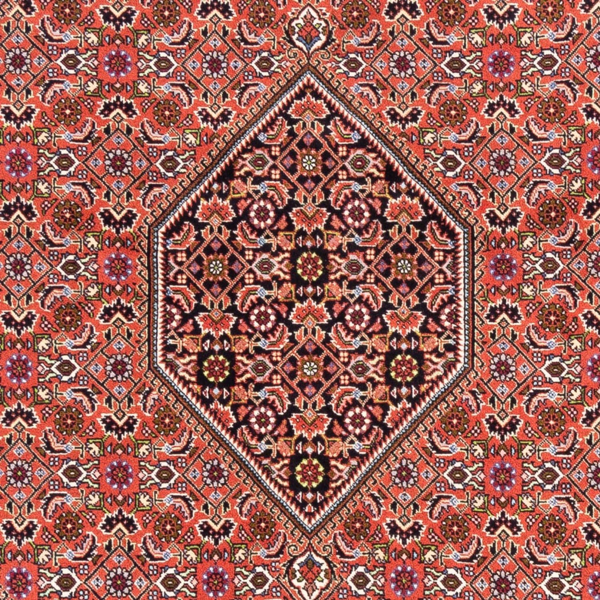 Tappeto Persero - Bidjar - 250 x 170 cm - rosso