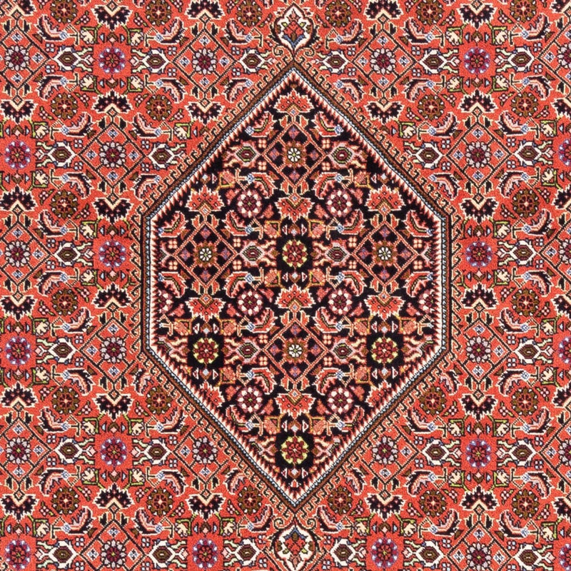 Tappeto Persero - Bidjar - 250 x 170 cm - rosso