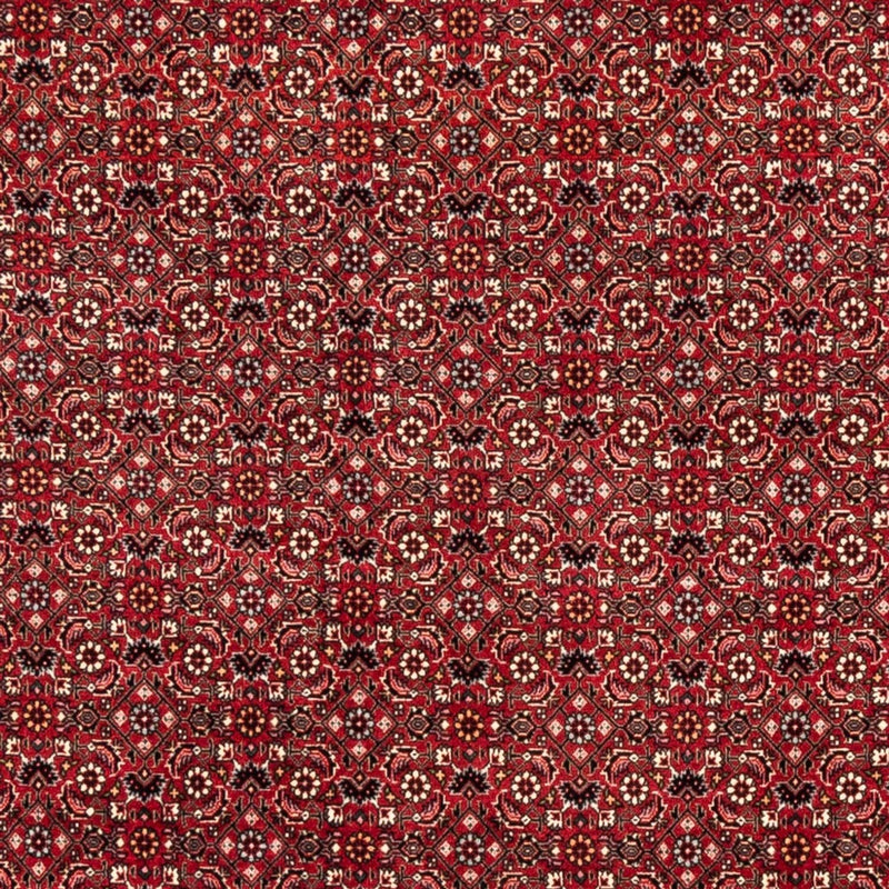 Tappeto Persero - Bidjar - 238 x 178 cm - rosso