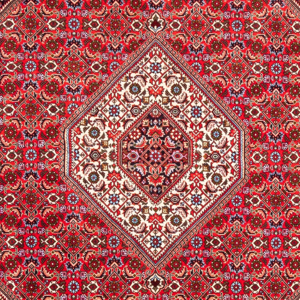 Tappeto Persero - Bidjar - 253 x 170 cm - rosso