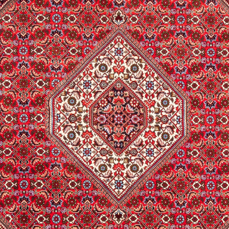 Tappeto Persero - Bidjar - 253 x 170 cm - rosso