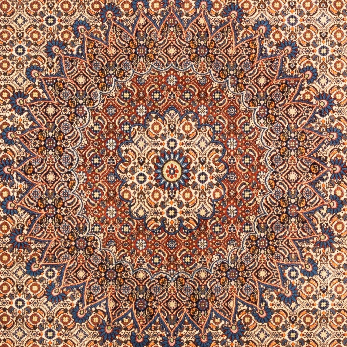 Tappeto Persero - Classico - 296 x 196 cm - beige