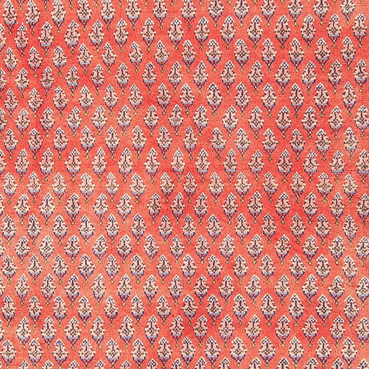 Tappeto corsia Tappeto Persero - Mir - 313 x 106 cm - rosso