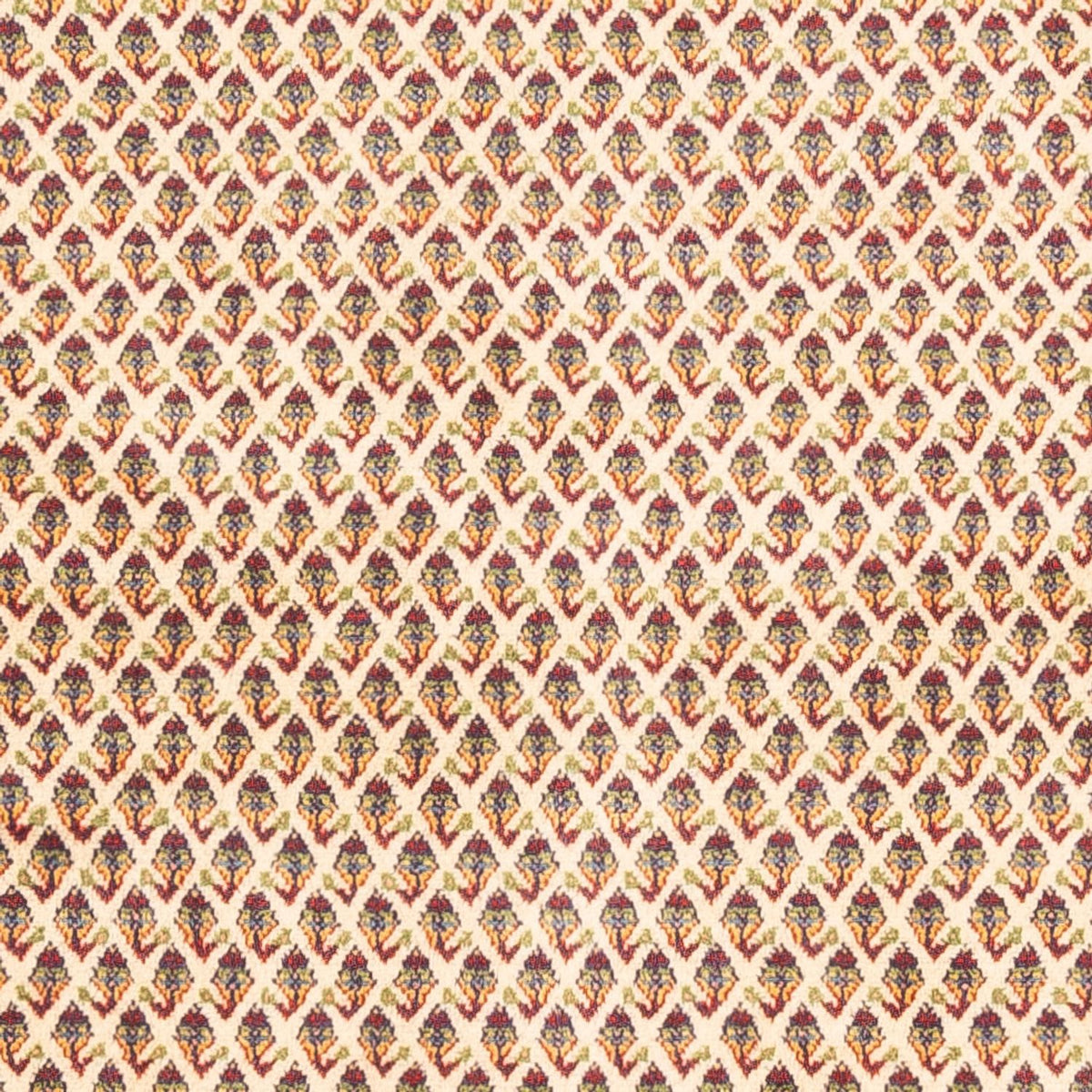 Tappeto Persero - Mir - 254 x 213 cm - beige chiaro