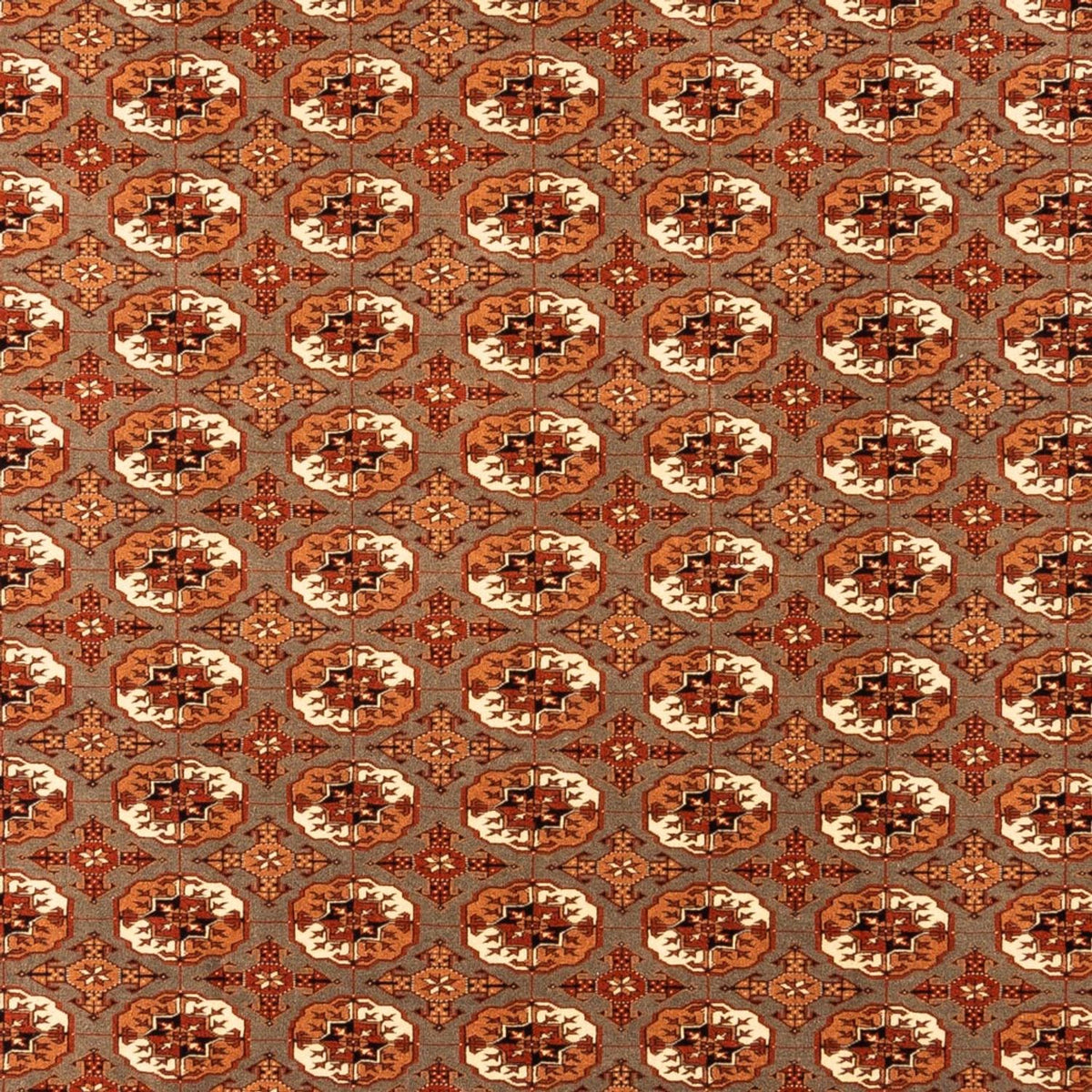 Tappeto Turkaman - 305 x 205 cm - beige scuro