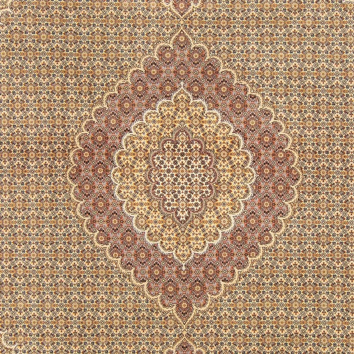 Tappeto Persero - Tabriz - Reale - 300 x 200 cm - sabbia