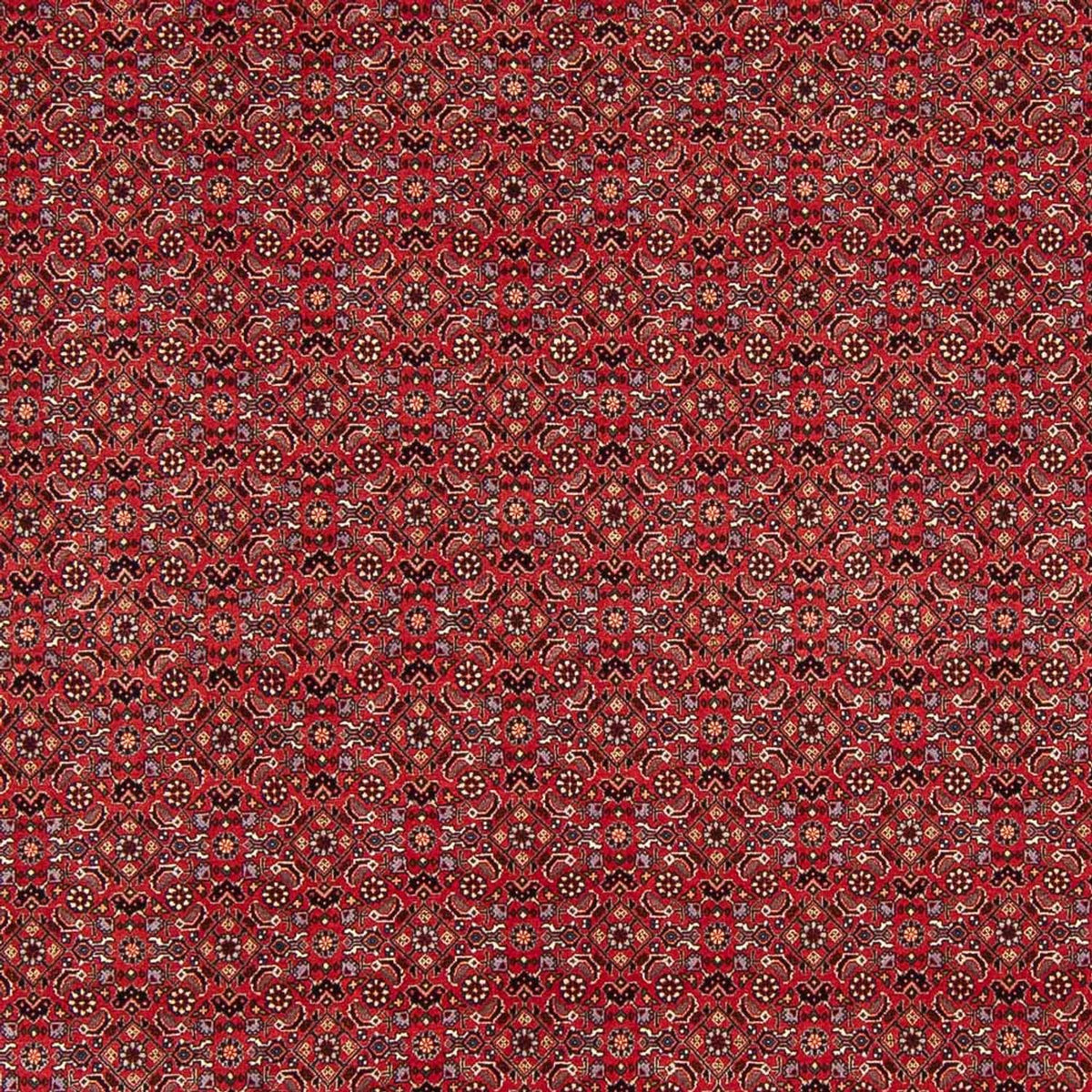 Tappeto Persero - Bidjar - Reale - 272 x 217 cm - rosso scuro