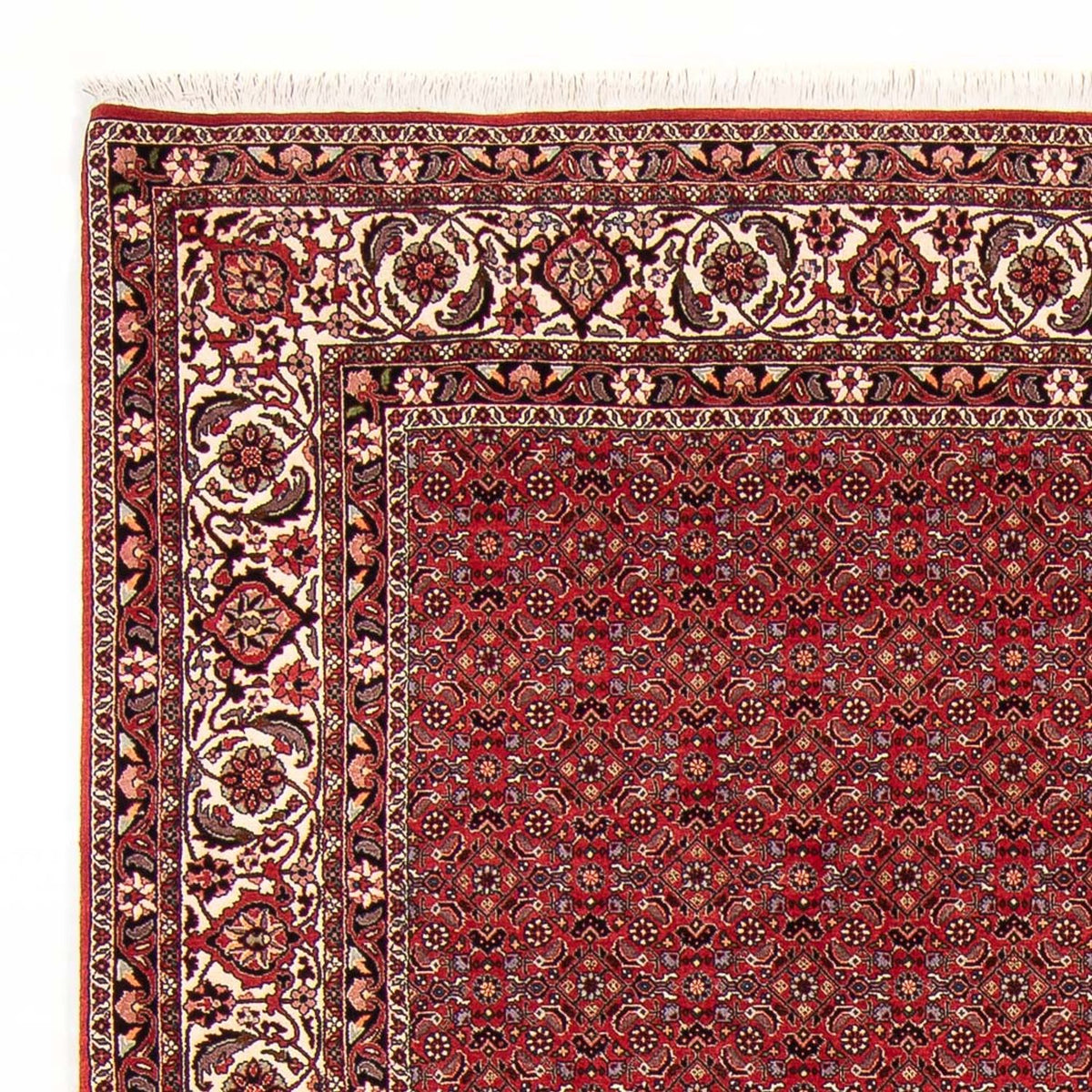 Tappeto Persero - Bidjar - Reale - 272 x 217 cm - rosso scuro