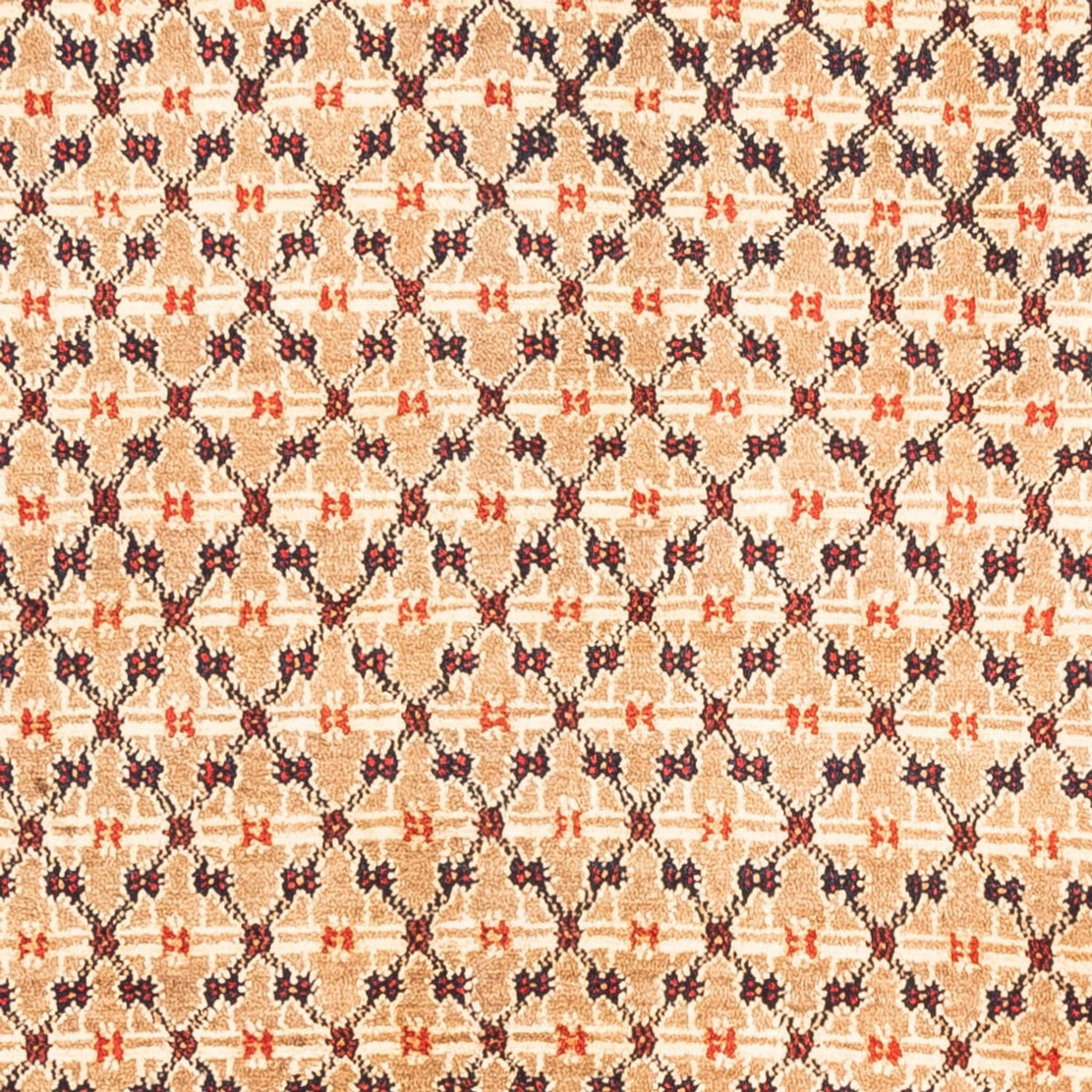 Tappeto Persero - Nomade - 273 x 153 cm - crema