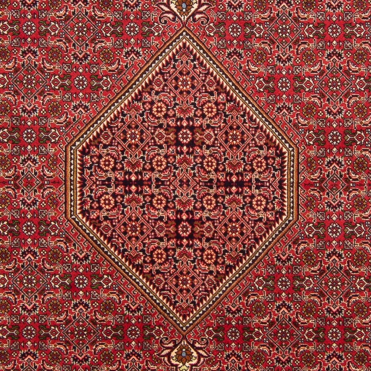 Tappeto Persero - Bidjar - 290 x 192 cm - rosso