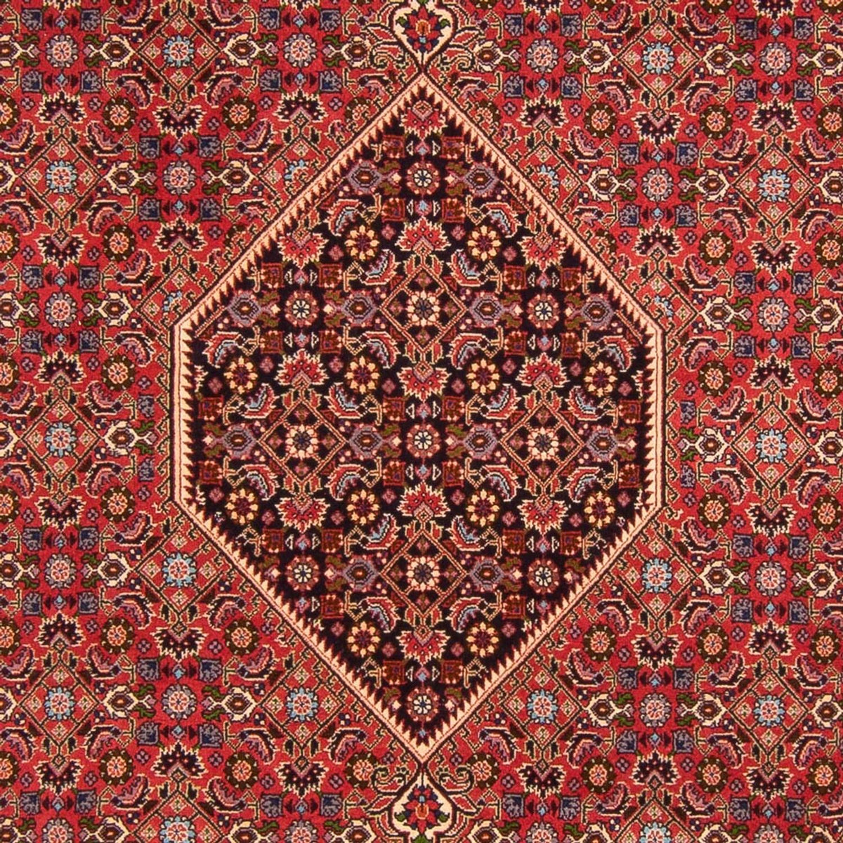 Tappeto Persero - Bidjar - 300 x 200 cm - rosso