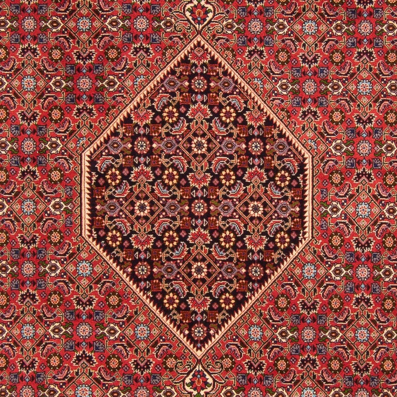 Tappeto Persero - Bidjar - 300 x 200 cm - rosso