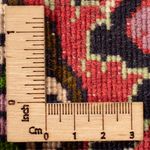 Tappeto Persero - Bidjar - 300 x 200 cm - rosso