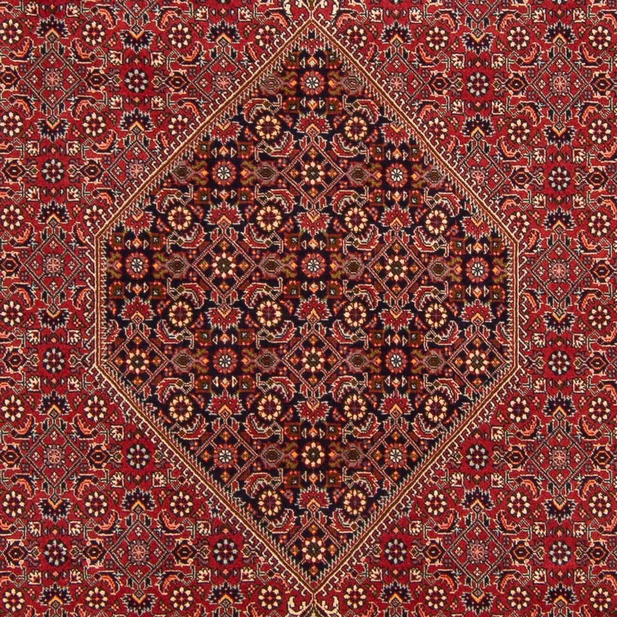 Tappeto Persero - Bidjar - 300 x 201 cm - rosso