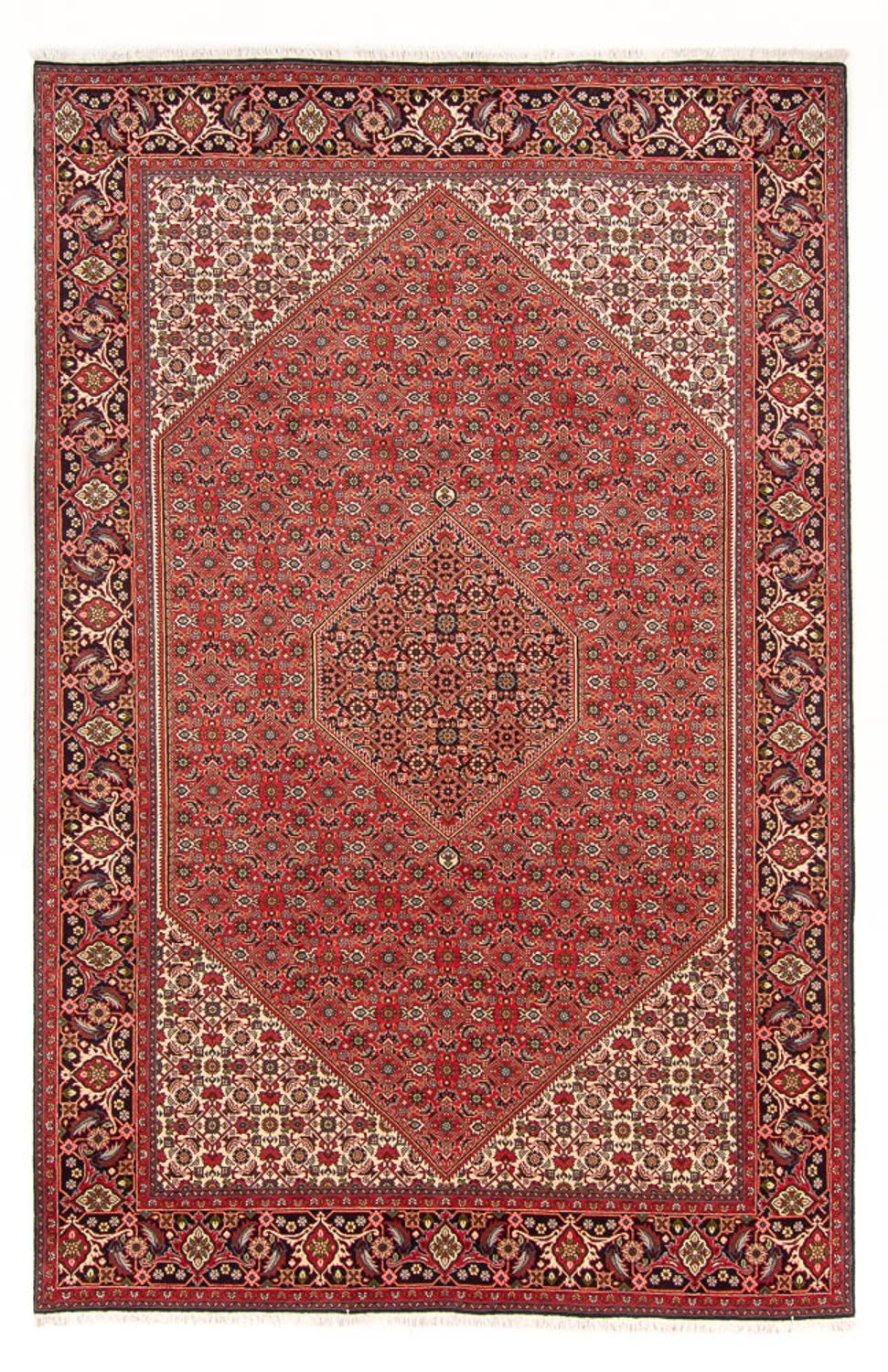 Tappeto Persero - Bidjar - 298 x 197 cm - rosso