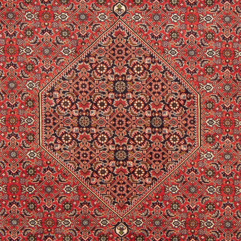 Tappeto Persero - Bidjar - 298 x 197 cm - rosso