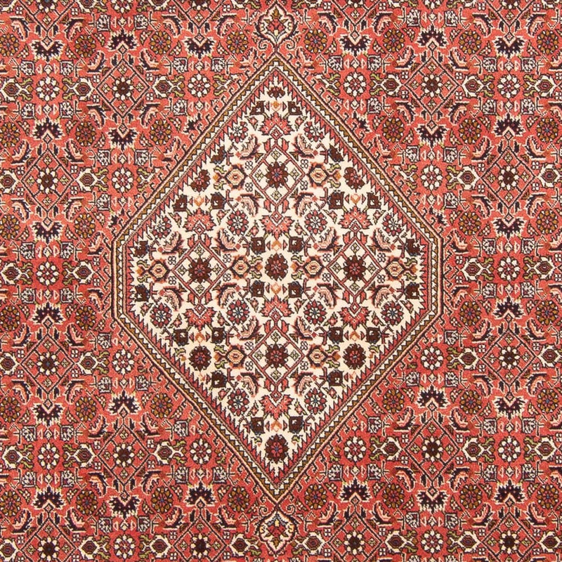 Tappeto Persero - Bidjar - 300 x 202 cm - rosso