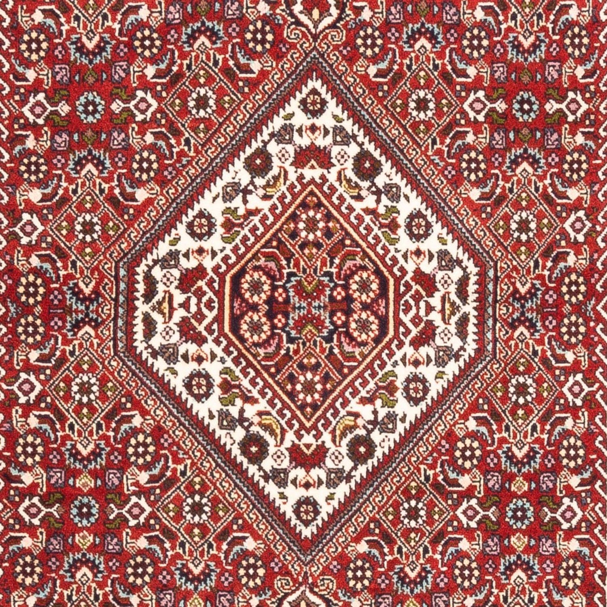 Tappeto Persero - Bidjar - 174 x 107 cm - rosso